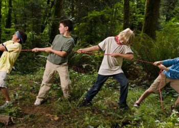 DINAMIZACIÓN, PROGRAMACIÓN Y DESARROLLO DE ACCIONES CULTURALES